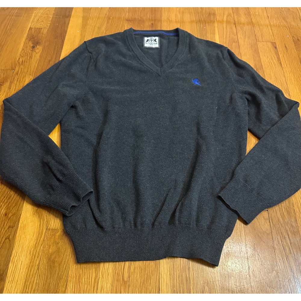 Express Mens Charcoal Gray 100% Cotton V-Neck Pullover Sweater Blue Lion Logo M